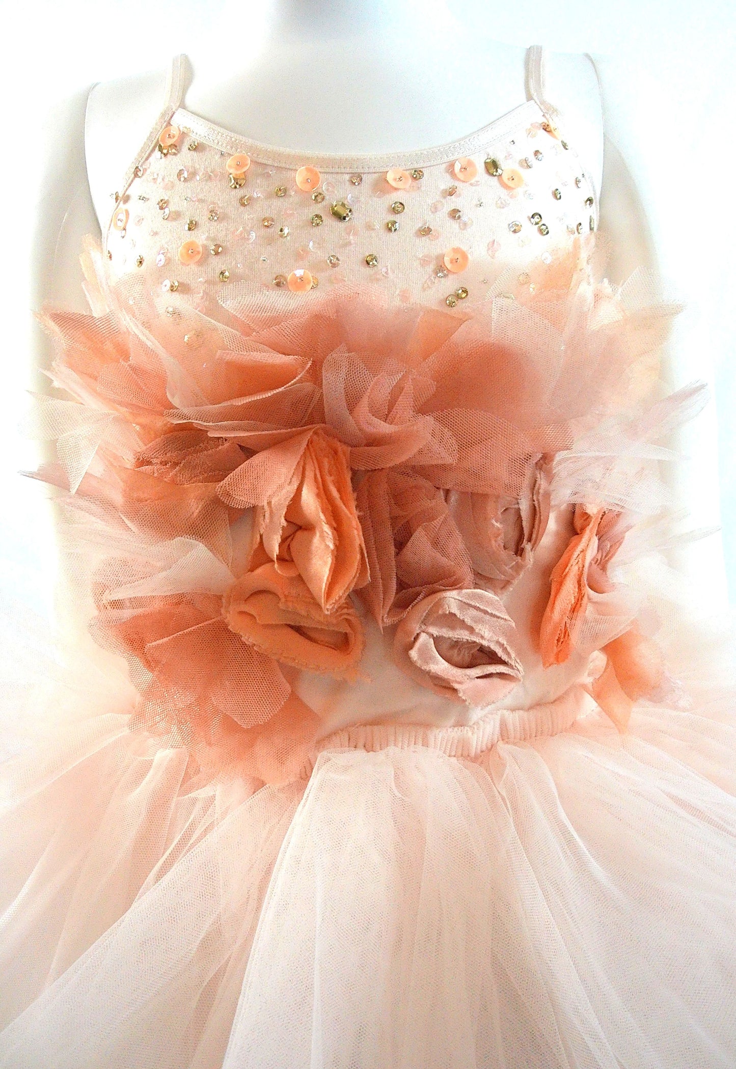 TuTu Du Monde Tutu Dress in Marshmellow