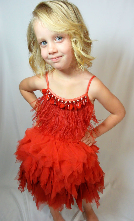 Tutu Du Monde "Queen of Hearts" Tutu Dress in Rhubarb *B1,C1*