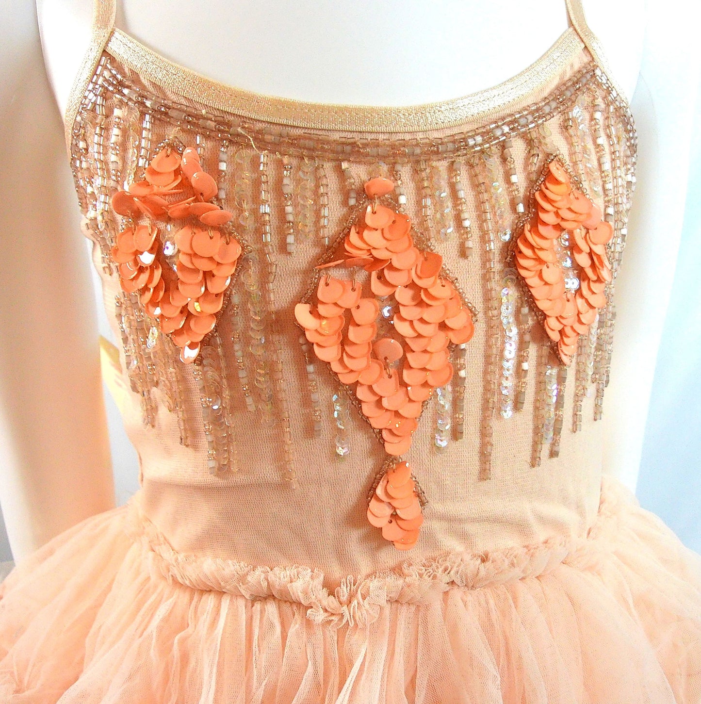 TuTu Du Monde Dress in Ginger